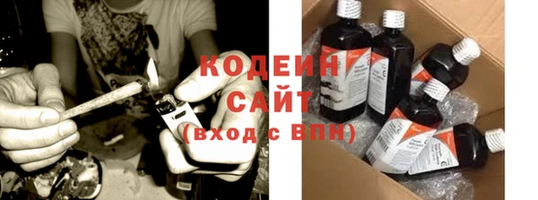 крисы Киренск