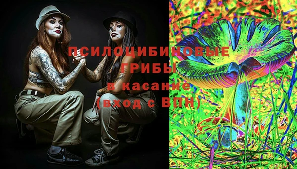 крисы Киренск