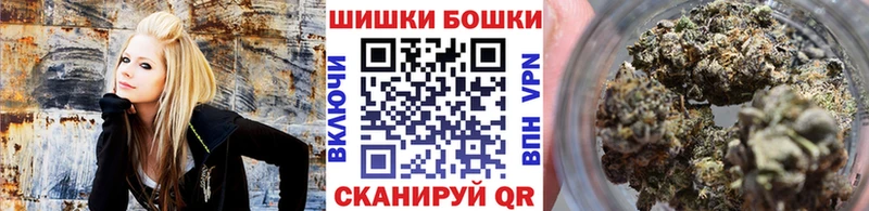Бошки Шишки ГИДРОПОН  Купить где  Бирюч 
